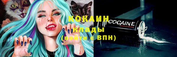 ГАЛЛЮЦИНОГЕННЫЕ ГРИБЫ Коряжма