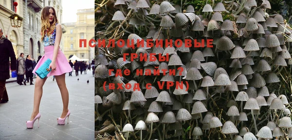 ГАЛЛЮЦИНОГЕННЫЕ ГРИБЫ Коряжма