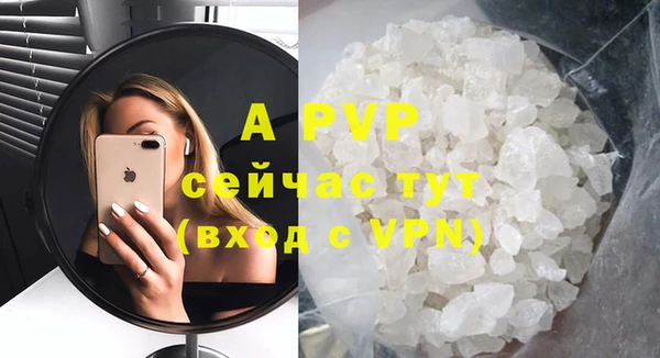 ГАЛЛЮЦИНОГЕННЫЕ ГРИБЫ Коряжма