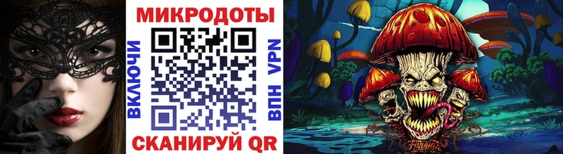 Псилоцибиновые грибы MAGIC MUSHROOMS  Купить  Ленинградская 